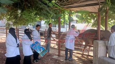 إطلاق الحملة القومية للتحصين ضد فيروس الحمى القلاعية " العترة SAT1 " بكفر الشيخ