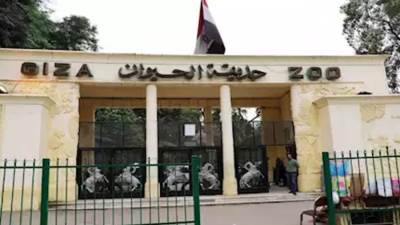"معلومات الوزراء" يسلط الضوء على جهود تطوير حديقة الحيوان بالجيزة 