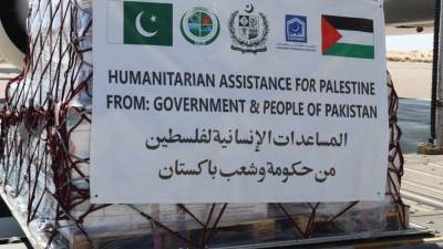 شحنة مساعدات باكستانية تصل إلى مطار العريش الدولي لصالح غزة