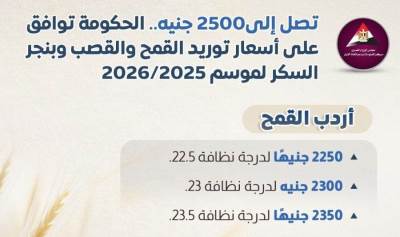 بالانفوجراف.. قائمة أسعار توريد محصول القمح وقصب السكر وبنجر السكر