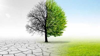 1700 حالة وفاة.. "أكسفورد" تكشف الوجه القاتل لتغير المناخ في قلب أوروبا