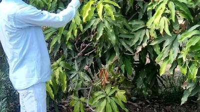 مطالب بعودة الأرض المسحوبة لإنشاء مصنع للمخصبات الأرضية بالمنيا 