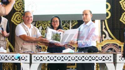 منظمة الأغذية والزراعة للأمم المتحدة تسلم كفر الشيخ أطلس نخيل البلح والتمور في مصر 