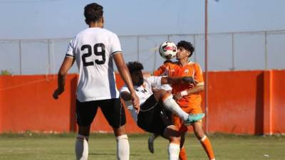 أبوقير للأسمدة يغرد منفردا بصدارة دوري المحترفين عقب انتهاء الأسبوع التاسع