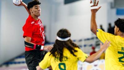 رئيس اتحاد اليد: نواصل العمل الدؤوب من أجل تحقيق حلمنا