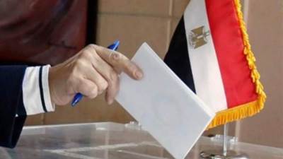 الجالية المصرية في تونس والجزائر يواصلون المشاركة في انتخابات مجلس النواب 2025