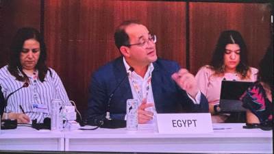 كجوك: مصر تستثمر في المستقبل بمشروعات تنموية أكثر استدامة وتكيفًا مع المناخ