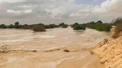 وزير الري يتابع موقف التعامل مع الأمطار بالبحر الأحمر وشمال سيناء مؤخرًا