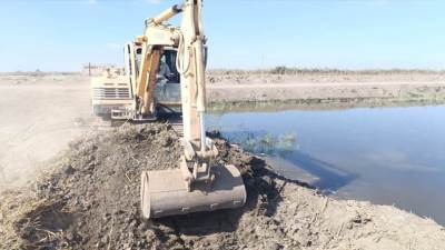 إزالة 10مزارع سمكية مخالفة على مساحة 50 فدانًا بجنوب بورسعيد