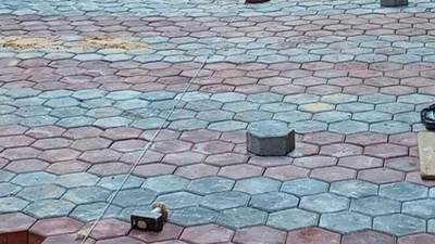 بتكلفة 28 مليون جنيه.. تركيب "الإنترلوك" بشوارع منيا القمح بالشرقية