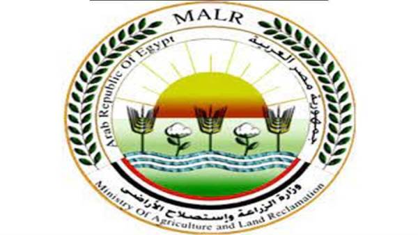 "الزراعة" تنفي صحة فيديو حالات نفوق الماشية المتداول على وسائل التواصل الاجتماعي