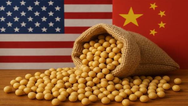بسبب "فول الصويا".. بيانات أمريكية تشكك في وعود الصين