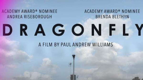 «اليعسوب» يحصد جائزة الهرم الذهبي في ختام مهرجان القاهرة السينمائي