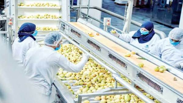 الصناعات الغذائية تحقق إنجازًا بصادرات تتجاوز 5.8 مليار دولار حتى نهاية أكتوبر